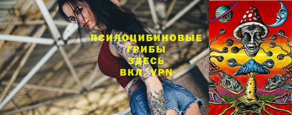тгк Богородск
