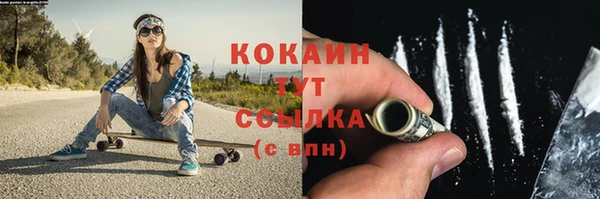 тгк Богородск