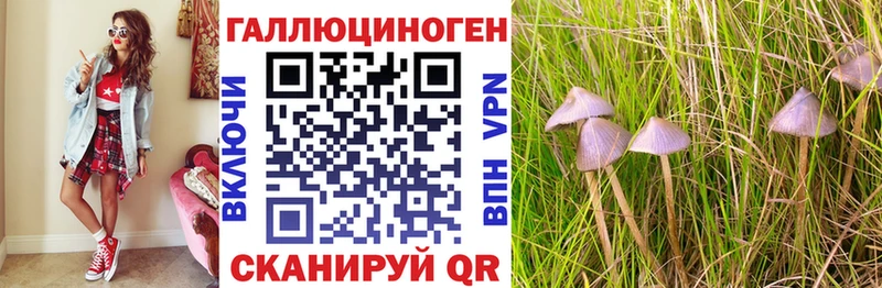 МЕГА зеркало  продажа наркотиков  Нерехта  Псилоцибиновые грибы мицелий 